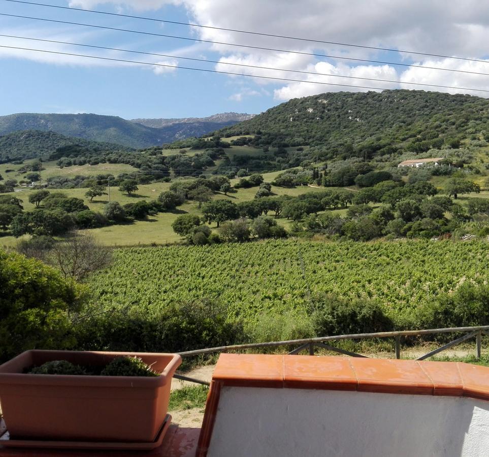 Agriturismo B&B Domo De Resteblas Беркидда Экстерьер фото