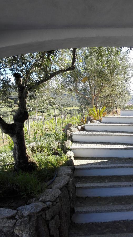 Agriturismo B&B Domo De Resteblas Беркидда Экстерьер фото